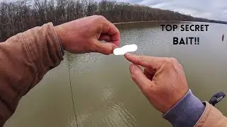 I SHOULDN'T Be Showing You THIS Secret CRAPPIE Bait HACK!!