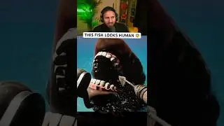 Я поймал рыбу с ЧЕЛОВЕЧЕСКИМ ЛИЦОМ 💀