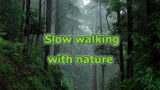  Soft footsteps, gentle breeze, calm mind. 🍃#ASMRNature #SlowWalk
