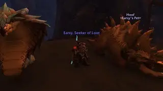 Mage Tower - Beast Mastery Hunter - Dark Ranger - Feltotem's Fall - The War Within - No cheese