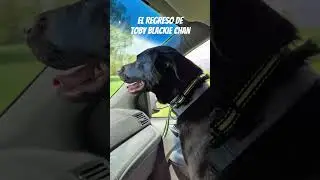 FIRUL&Aacute;IS: Toby Blackie Chan ❤️ #peruanosenusa