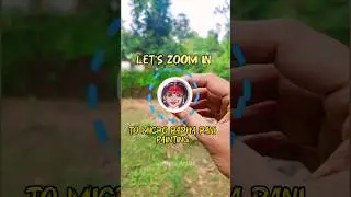 Radha Rani micro painting #shorts #radhaashtami #radharani