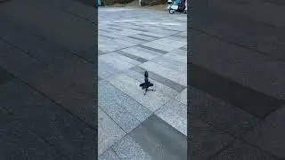 Классные, креативные, умные и веселые игровые видеоролики, которые вы не должны пропустить. #виру...