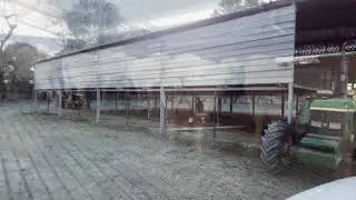 Fairworld finewool merino stud sheep#building a ramshed