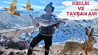 G&Uuml;ZEL BİR G&Uuml;NDEN - KEKLİK ve TAVŞAN AVI #partridgehunt #hunting #keklikavı #tavşanavı #rabbit #avcı 