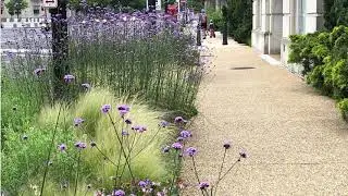 Biophilia in Your Community: Growing for the Greater Good