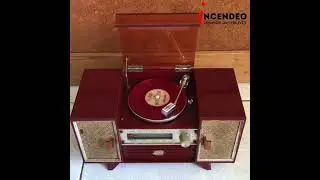 Vintage 1960s Japan Echo Industrial Radiogram Music Box