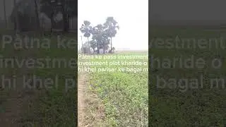 Patna me 11 lakh me aadha katha jamin karde Indian Property Express 