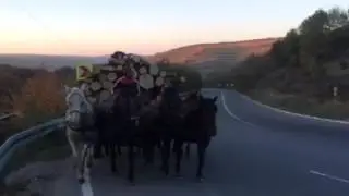 Iat&atilde; cum se transport&atilde; 4 metri cubi de lemn cu doar 5 cai putere