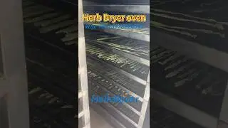 Hot Air Circulation Oven Fruit And Vegetable Drying Oven Food Herbs Constant Temperature Dryer