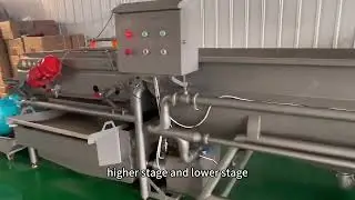 Vortex vegetables and fruits washing machine clean, vegetables processing line #foodprep