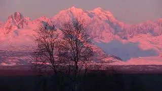 Alpenglow Across Denali and the Alaska Range
