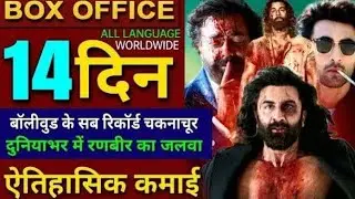 Animal Box office Collection Day 14 India and Worldwide BUDGET VERDICT HIT OR FLOP #animaltrailer