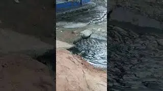 #Sultanpuri Road area🌊#Blackwaterfalls#travelvlog #R-kaynation# #shortsviral  #youtubeshorts #trend