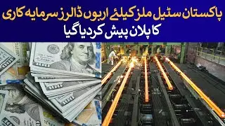 Billion-Dollar Solution Shared With Senate Panel For Pak Steel Mills Revival | Rich Pakistan