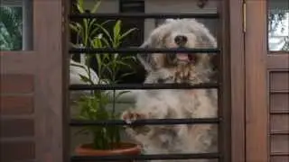 DisConnect - DisCover Life Social Ad Krishna Kumar Ahaana Krishna