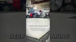 Deep Rug Cleaning