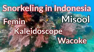 Femin, Kaleid, Wacoke - Misool, Raja Ampat - 4K Snorkeling in Indonesia