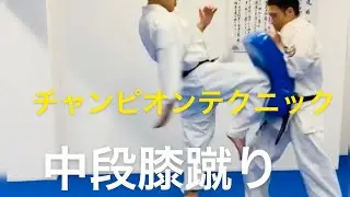 14.【スタンダードな膝蹴り】yuji Shimamoto champion technique