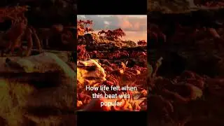 #memes#funny#beats #popular #music#crab#rave#crabrave #life