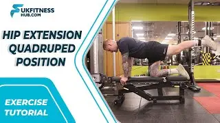 Exercise Tutorial: Hip Extension Quadruped Position
