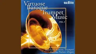 Konzert-Sonate für Trompete und Orgel in D-Dur: Allegro spirituoso - Largo - Allegro