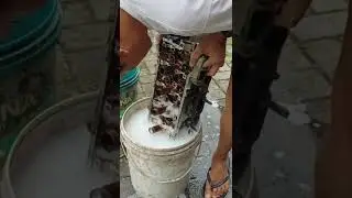 Toyota Crown SS 2000cc.. OverHeat sampai Jebol !!! Mesin Full Baja Tidak Melengkung 😂😂😂