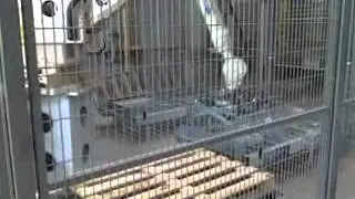 ScanRobot A/S, Palleteringsrobot s&aelig;kke