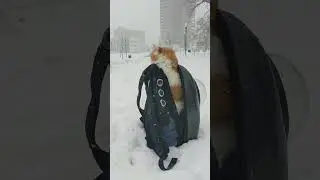 The happiest season is winter #satisfying #snow #asmr #fyp #fypシ #oddlysatisfying
