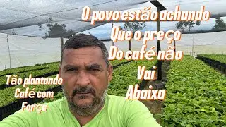 O povo estão plantando café ater em caixa d’água 