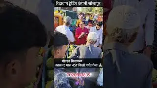 08/10/2025 Rizwan Trading Company Solapur Market Yard Fruit Auction 🙏🏻 🙏🏻