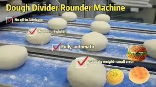 Shipping a Automatic Dough Divider Rounder Machine to HongKong | QLDR-4