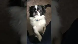 attachment issues