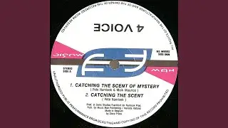 Music Hypnotizes 2