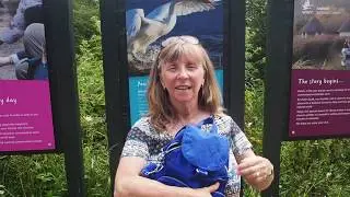 Arundel 25 & 27 July 2019