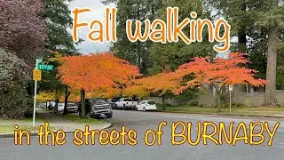 Fall walking in Burnaby