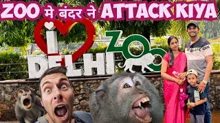 Delhi Zoo|| Delhi Zoo Monkey Attack||Delhi Zoo Online Booking || Delhi Zoo Ticket Price