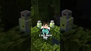 Why fireflies and birch forest are not adding??
