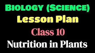 Science ( Biology) Lesson Plan, Class - 10 || Life Process || Nutrition in Plants || Centre Study