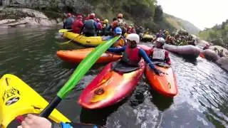 Tamecanos 2017