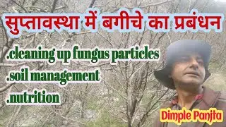 Identification of dormant seeds / Winter Soil Nutrition Management / Dimple Panjta / @bagwanikibaat