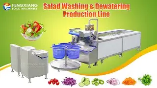 Fengxiang Salad Vegetable & Fruit Bubble Washing and Dewatering Machine#washingmachine #salad