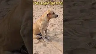 Versova beach #beach #vlog #travel #fun #beachlife #akashsutarvlog