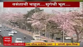 Eastern Express Highway Cherry blossom :मुंबईकरांना वसंत ऋतूची गुलाबी भेट, वसंताची चाहूल, सुगंधी भूल