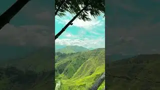 #natural scenery #natural beauty deep in the mountains #original ecology in the mountains