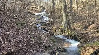Falls on Conner Mountain Fork of Ward Creek