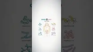 neet students some little bit knowledge about bacteria