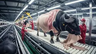 Inside the Buffalo Leather Factory &ndash; From Farm to Heavy Duty Luxury Goods Full Process