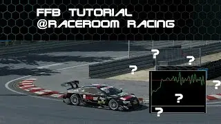 FFB Setup Tutorial for every Wheel | RaceRoom [FHD] | [GER]