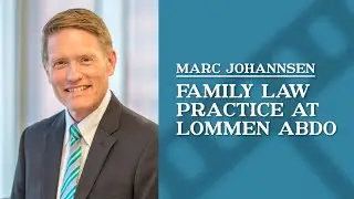 Tell us about your practice group at Lommen Abdo.